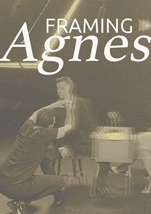 Framing Agnes