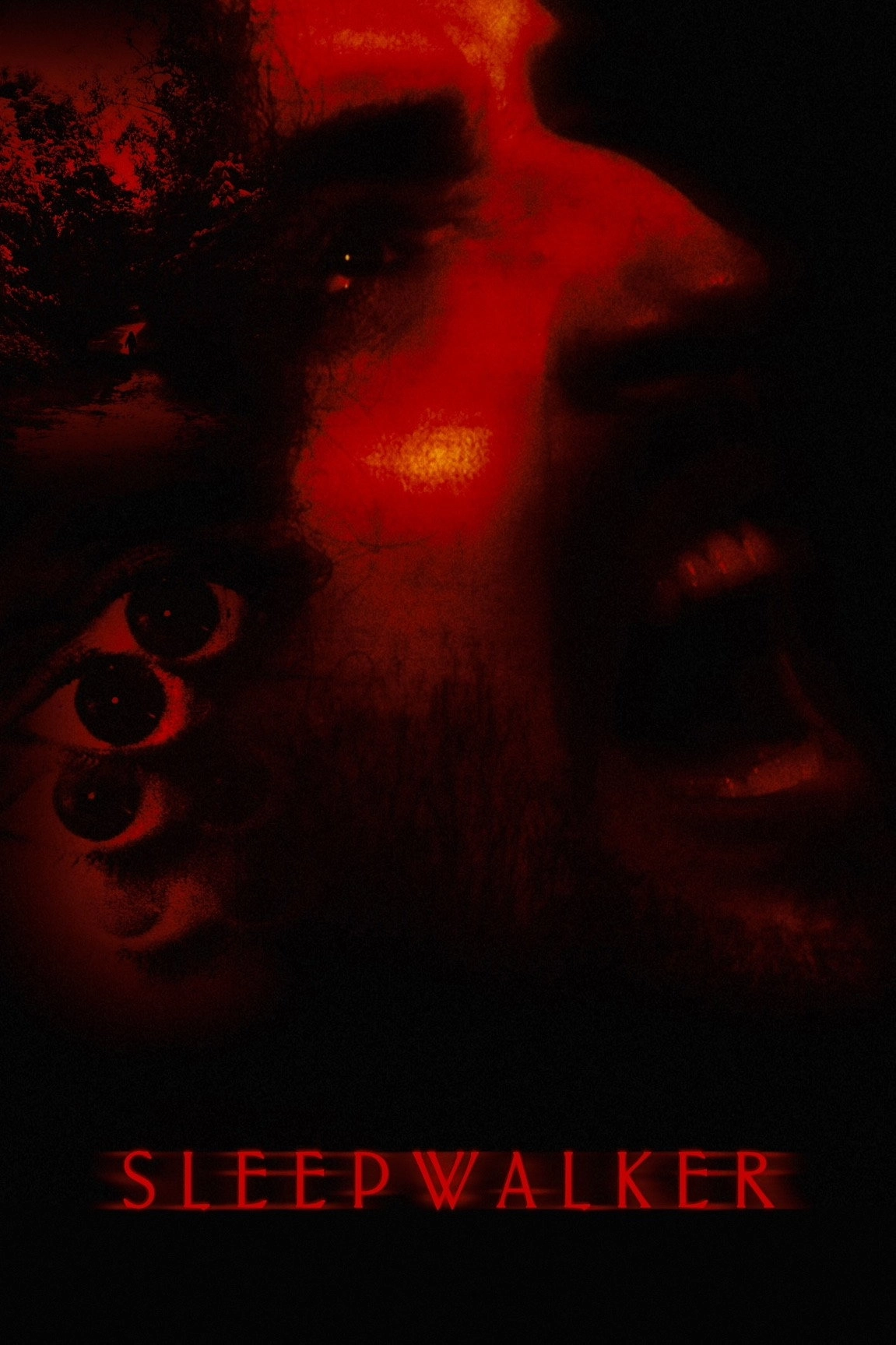 Sleepwalker