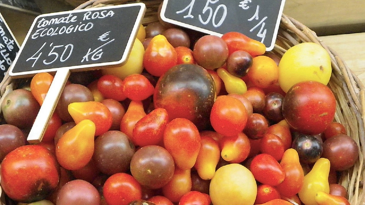 Food Markets: In the Belly of the City