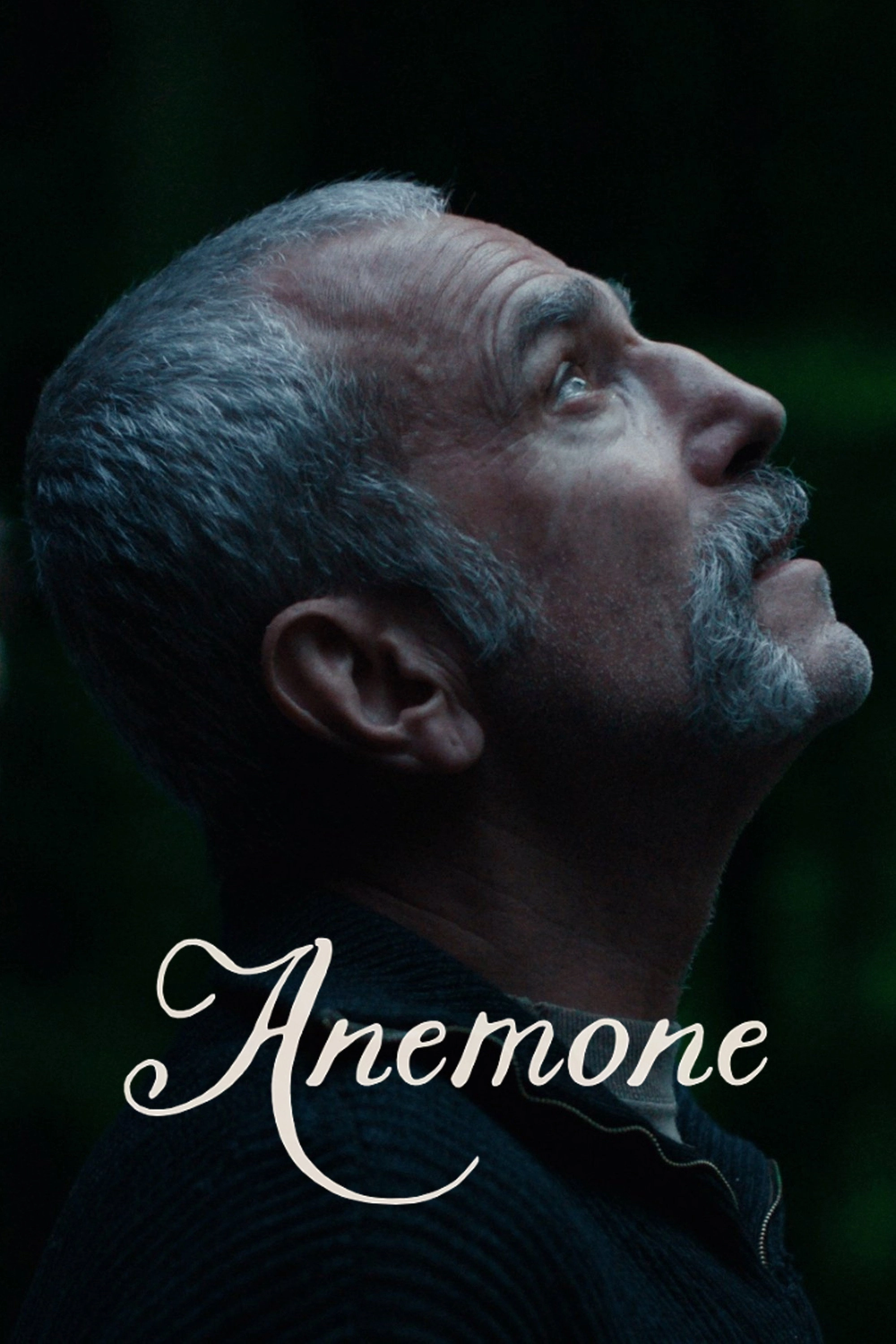 Anemone