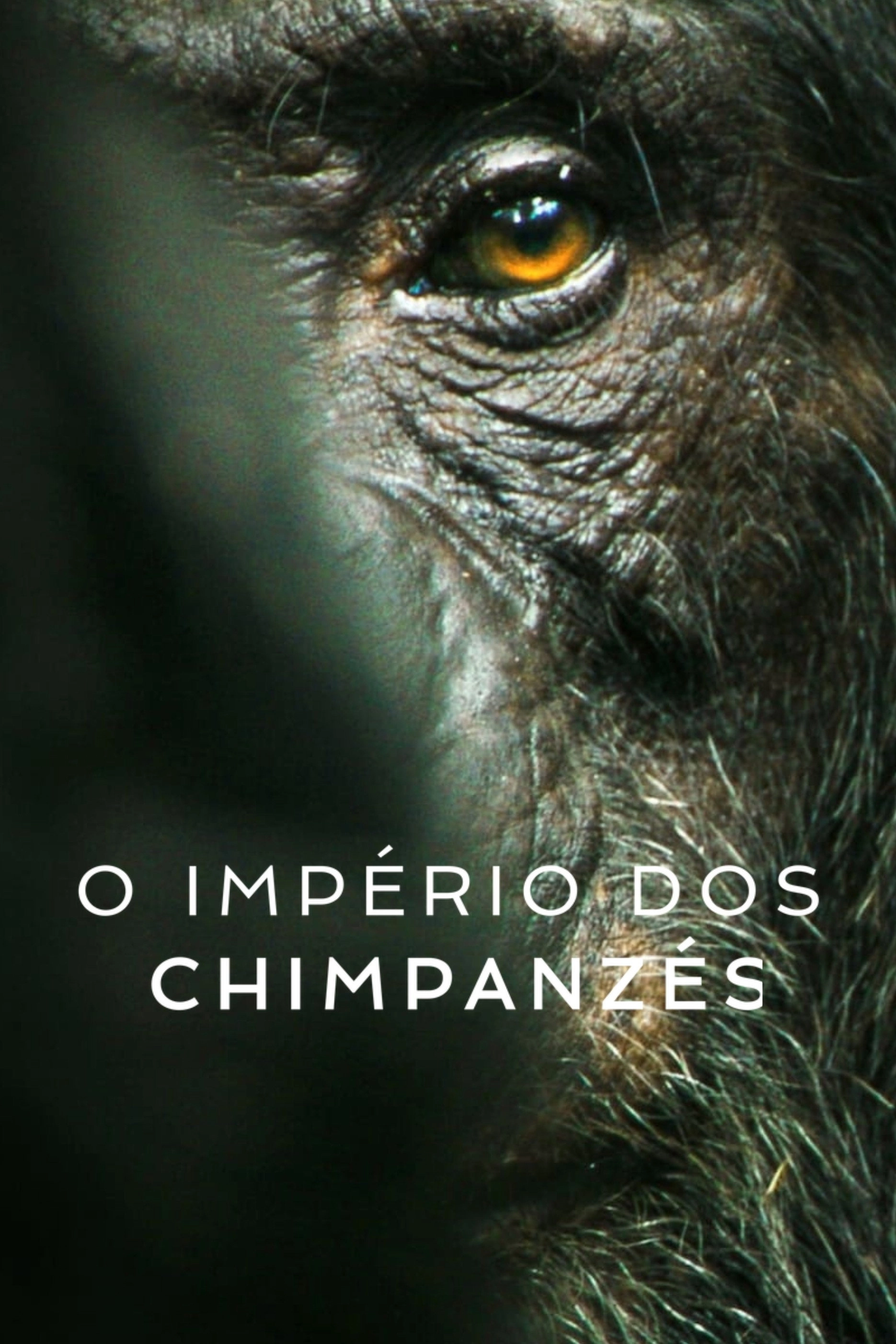 Chimp Empire