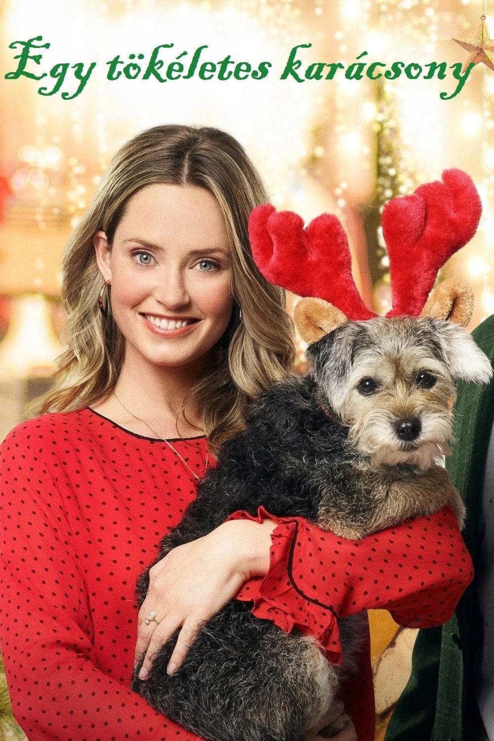 Picture a Perfect Christmas