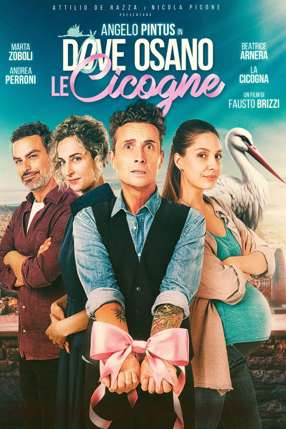 Dove osano le cicogne