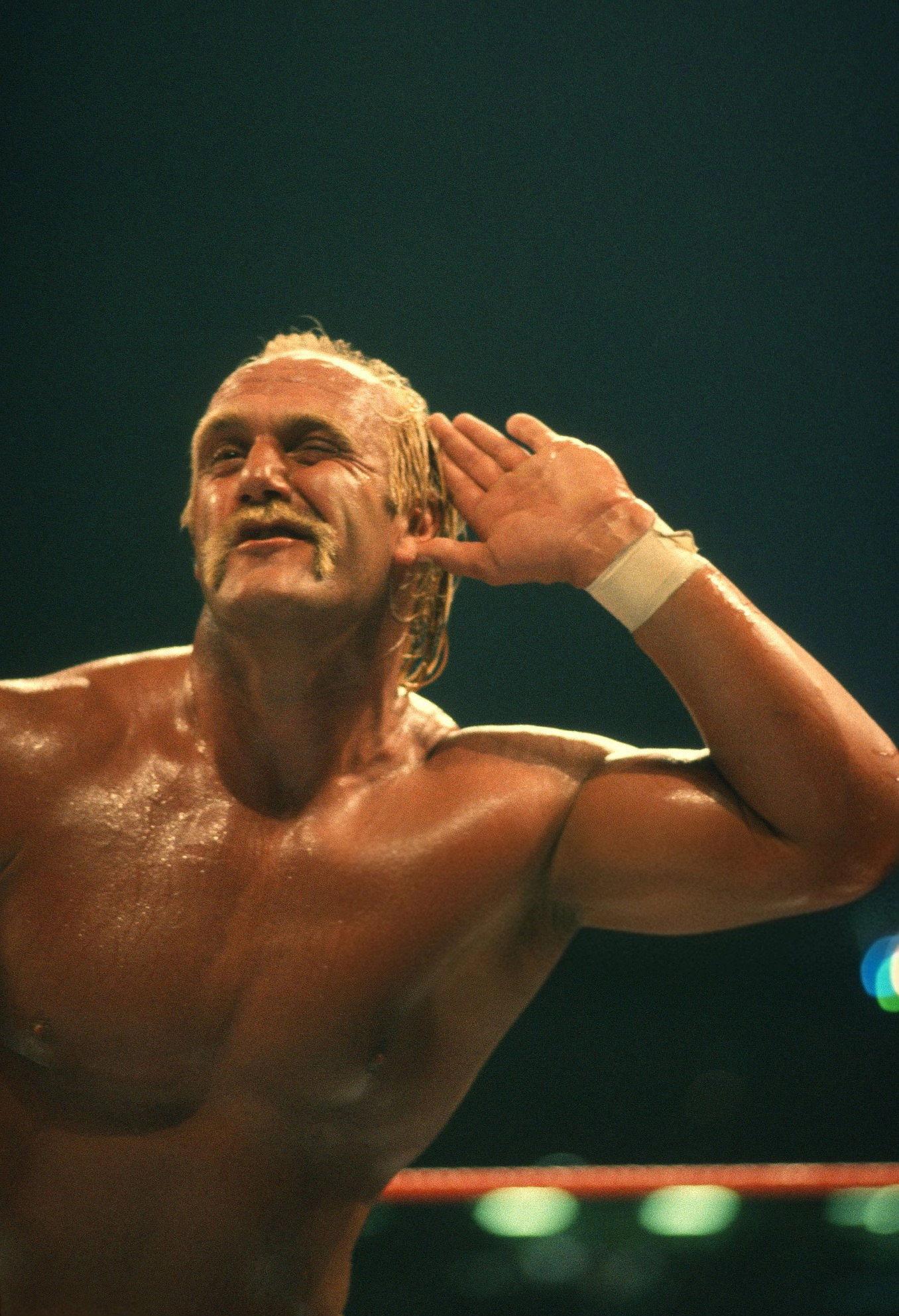 Hulk Hogan: Real American