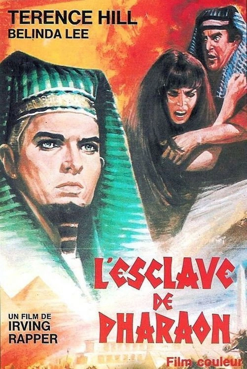 Joseph and His Brethren