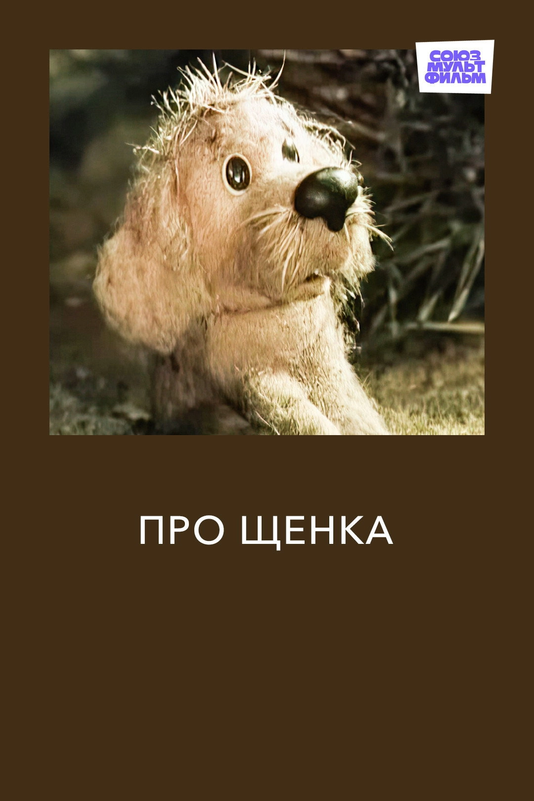 About a Puppy