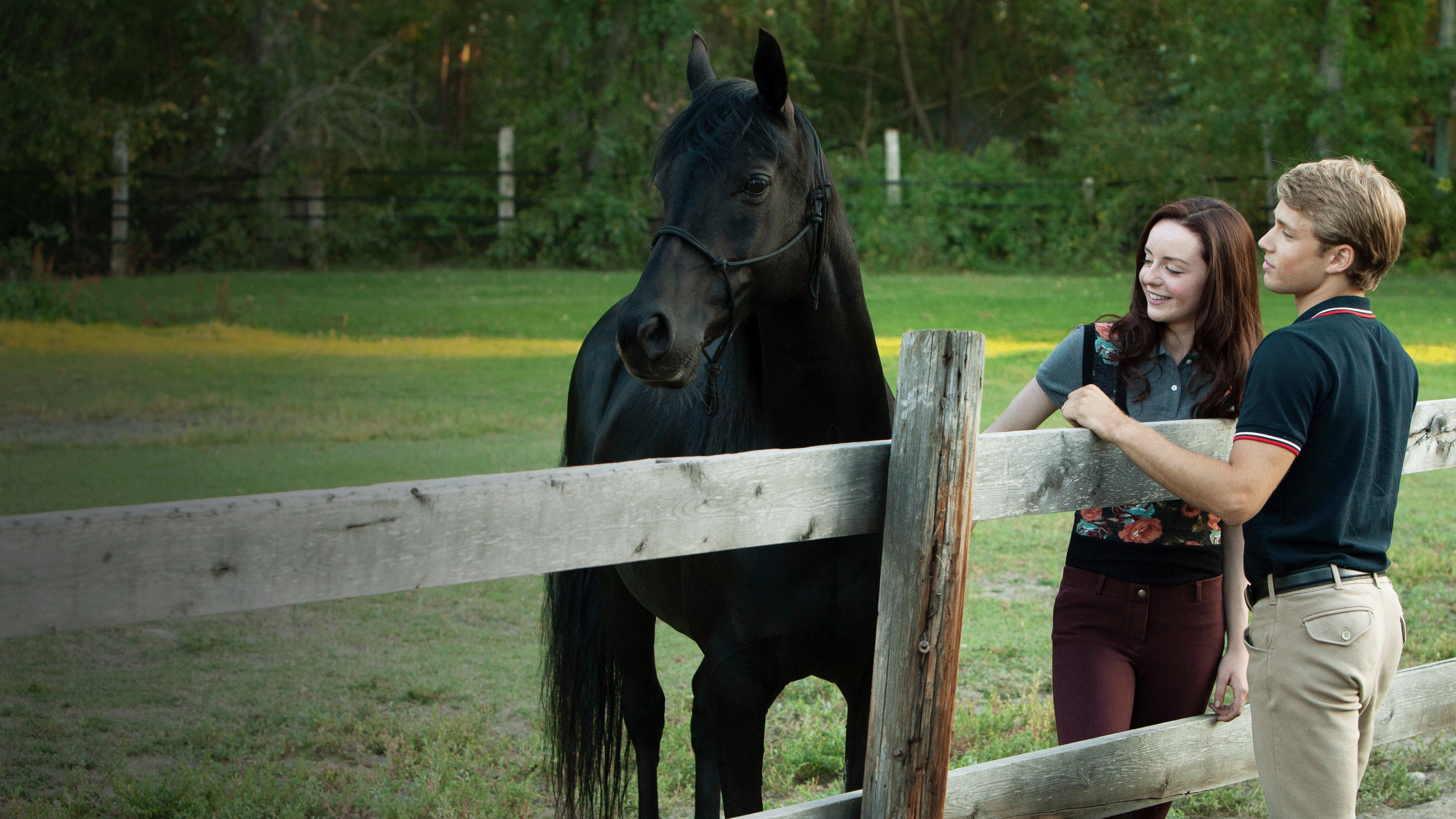 Flicka: Country Pride