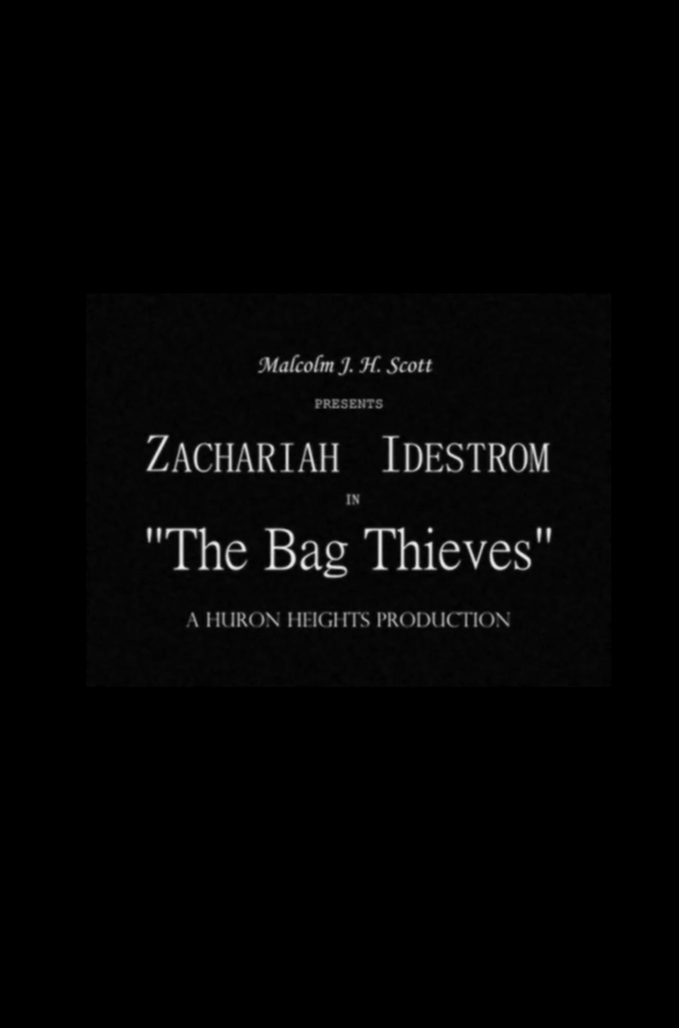 The Bag Thieves