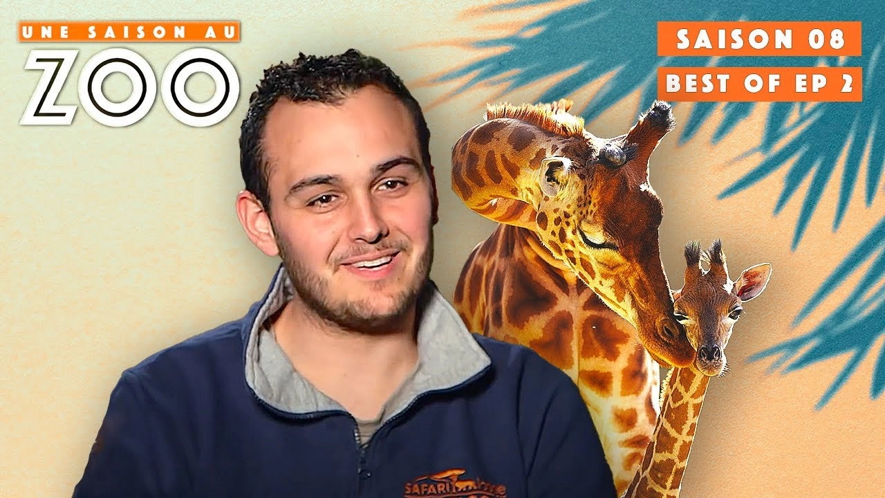 Une saison au zoo