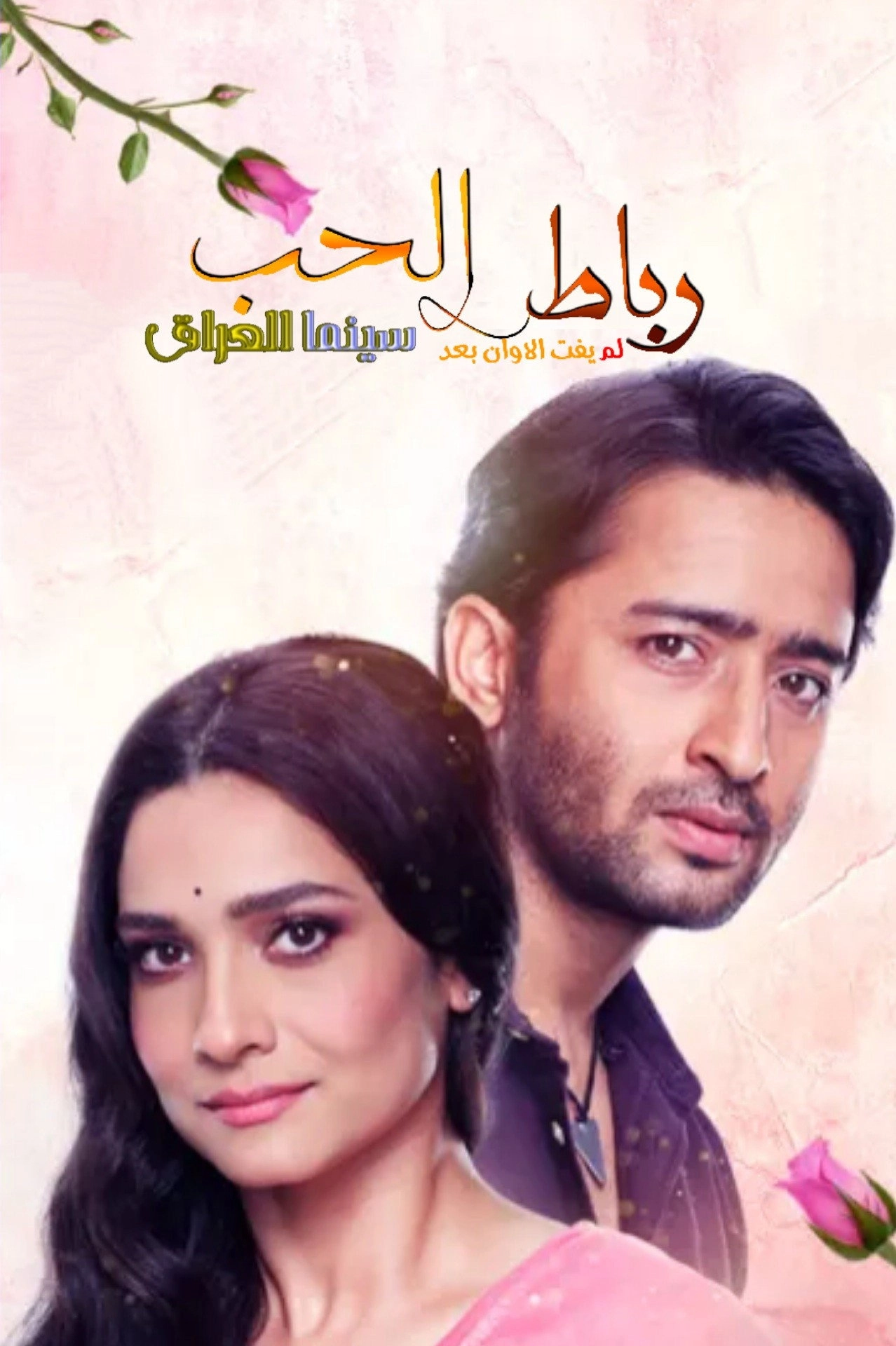 Pavitra Rishta - It's Never Too Late