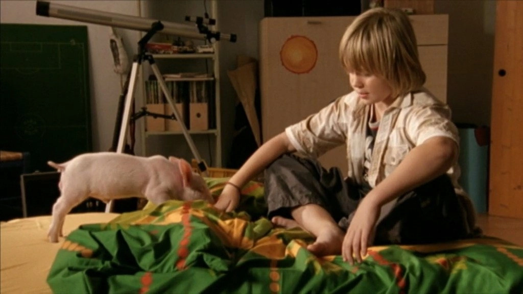 Rennschwein Rudi Rüssel