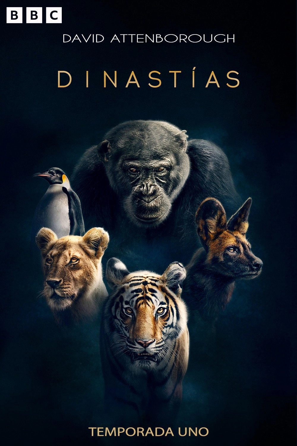 Dynasties