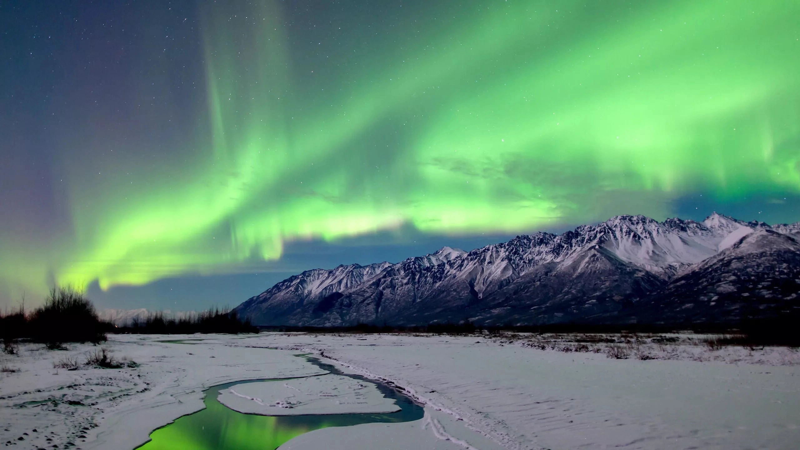 America's Wild Seasons