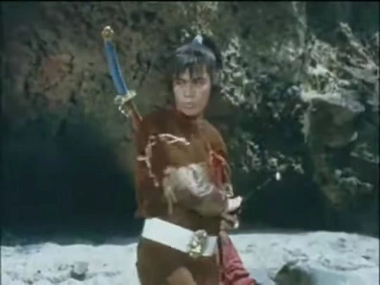 The Extraordinary Lion Knight