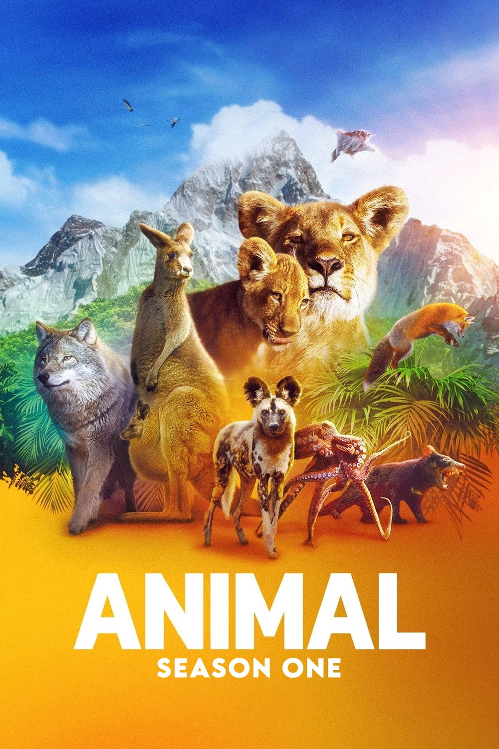 Animal