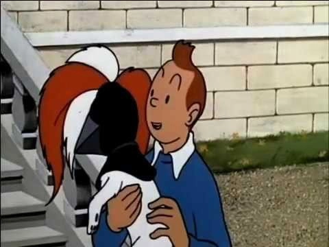 Les Aventures de Tintin, d'après Hergé