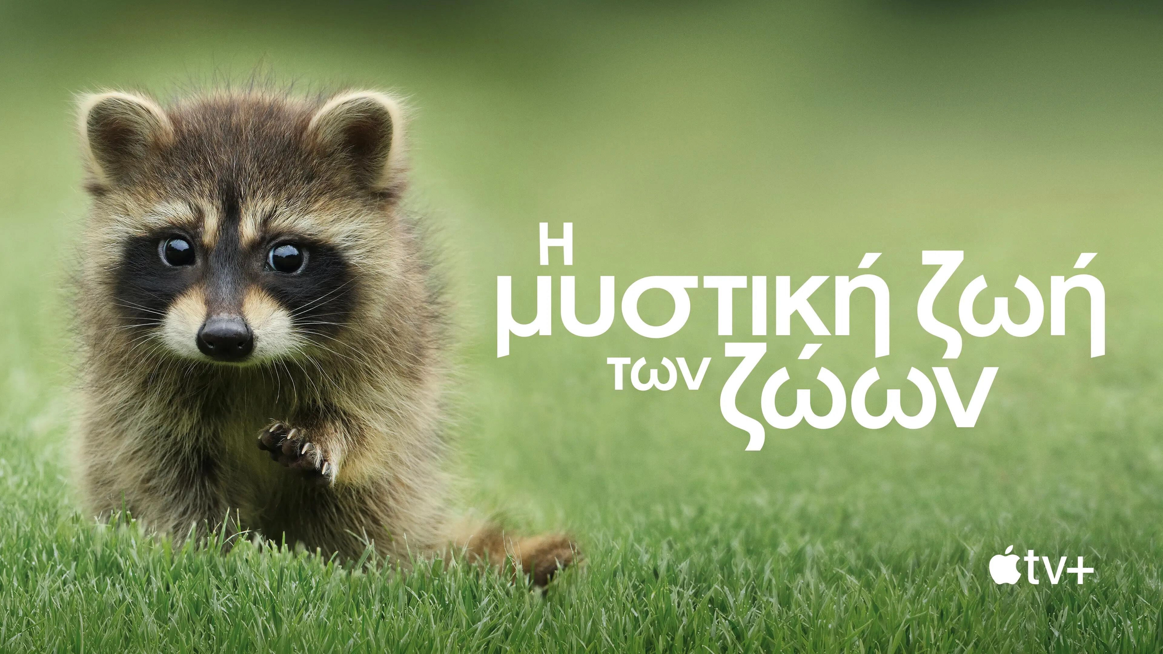 The Secret Lives of Animals