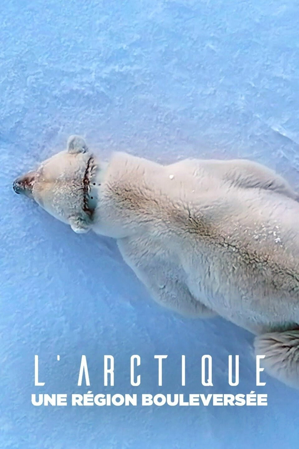 The Arctic: 66.5 Degrees North