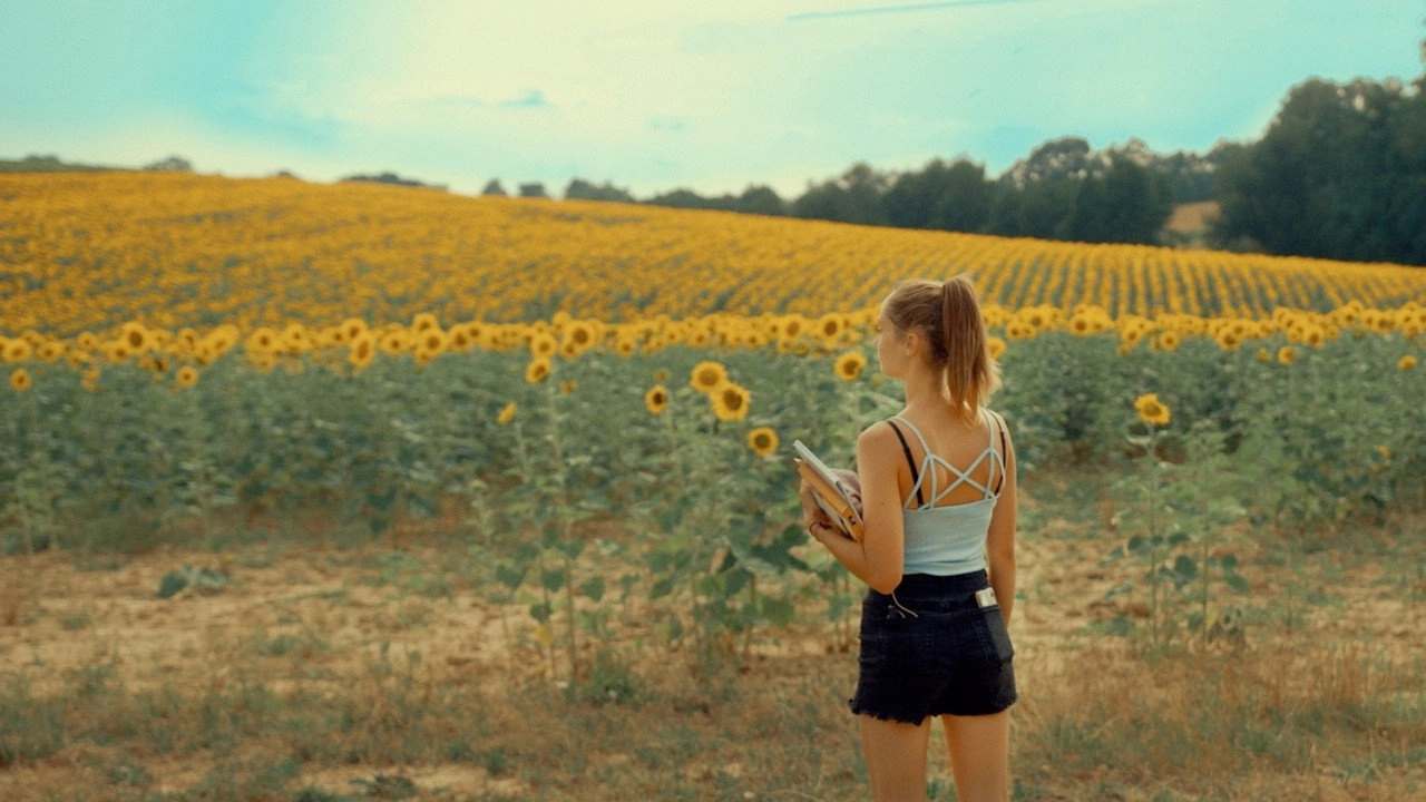 Se souvenir des tournesols