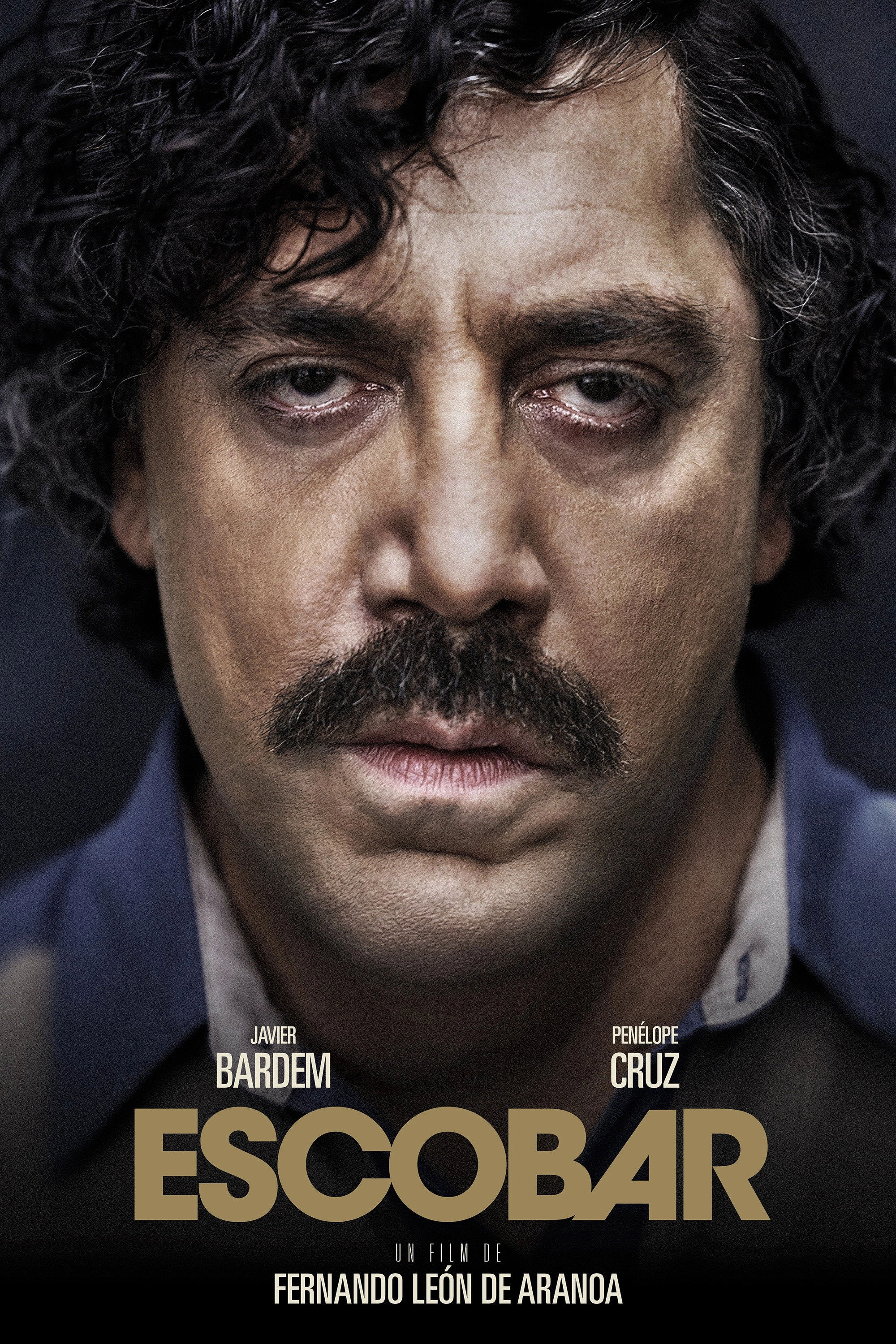 Loving Pablo