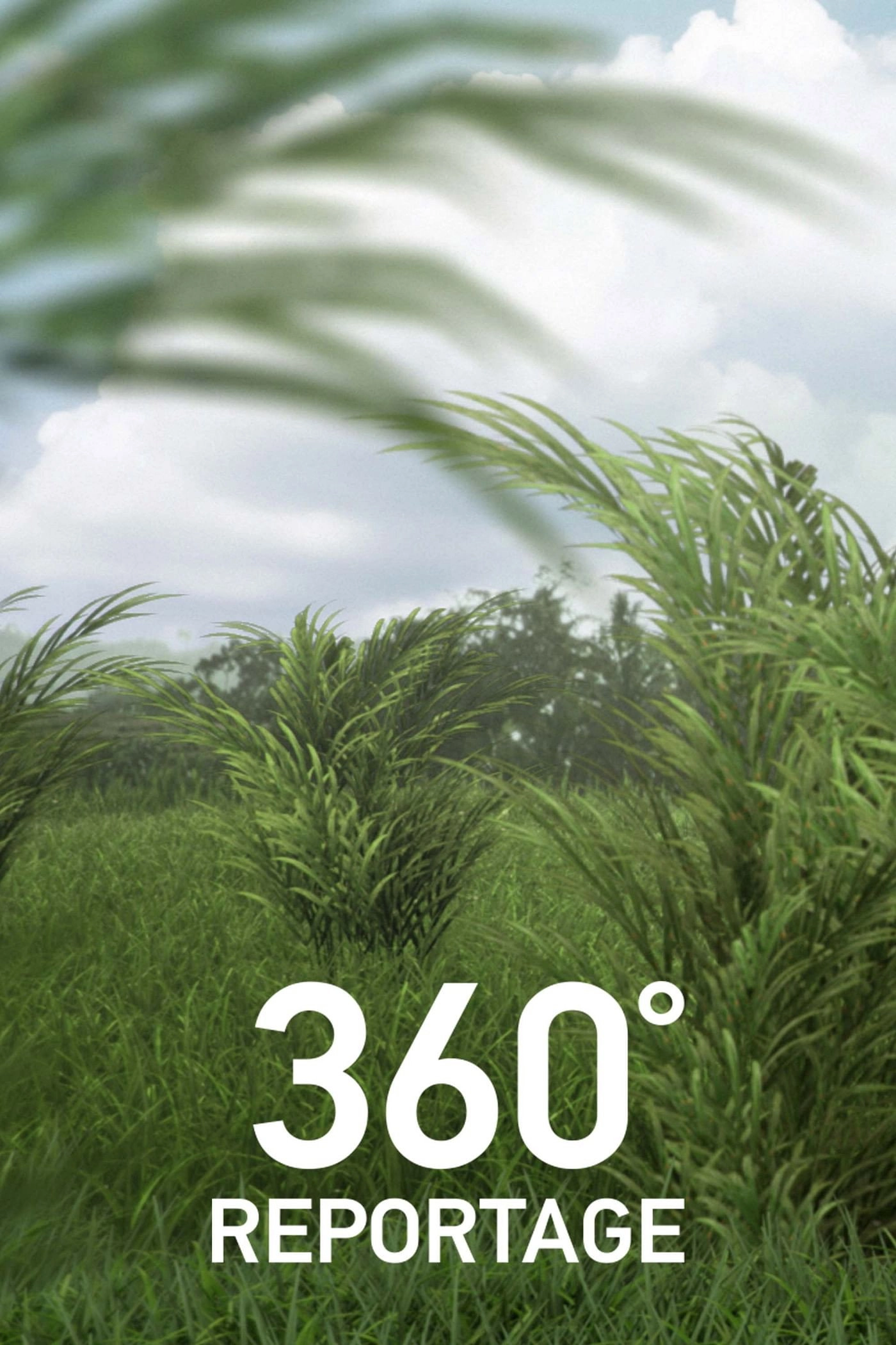 360° Reportage