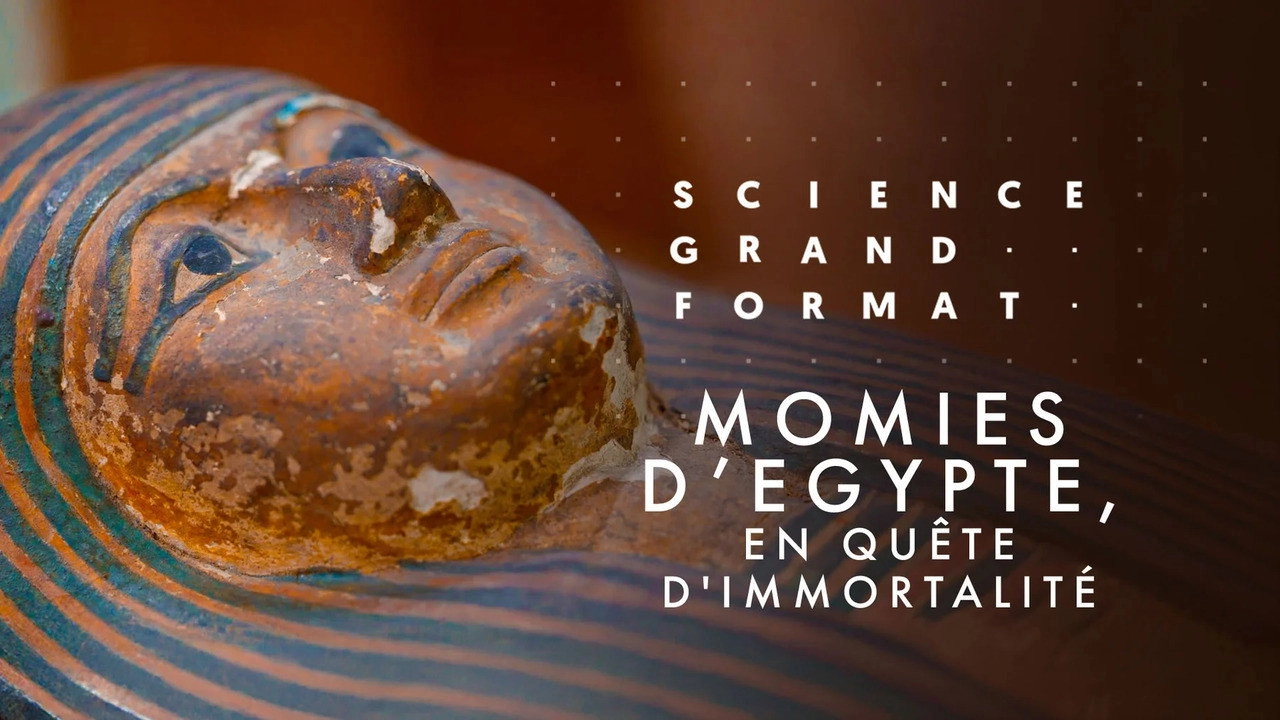 Momies d'Égypte, en quête d'immortalité