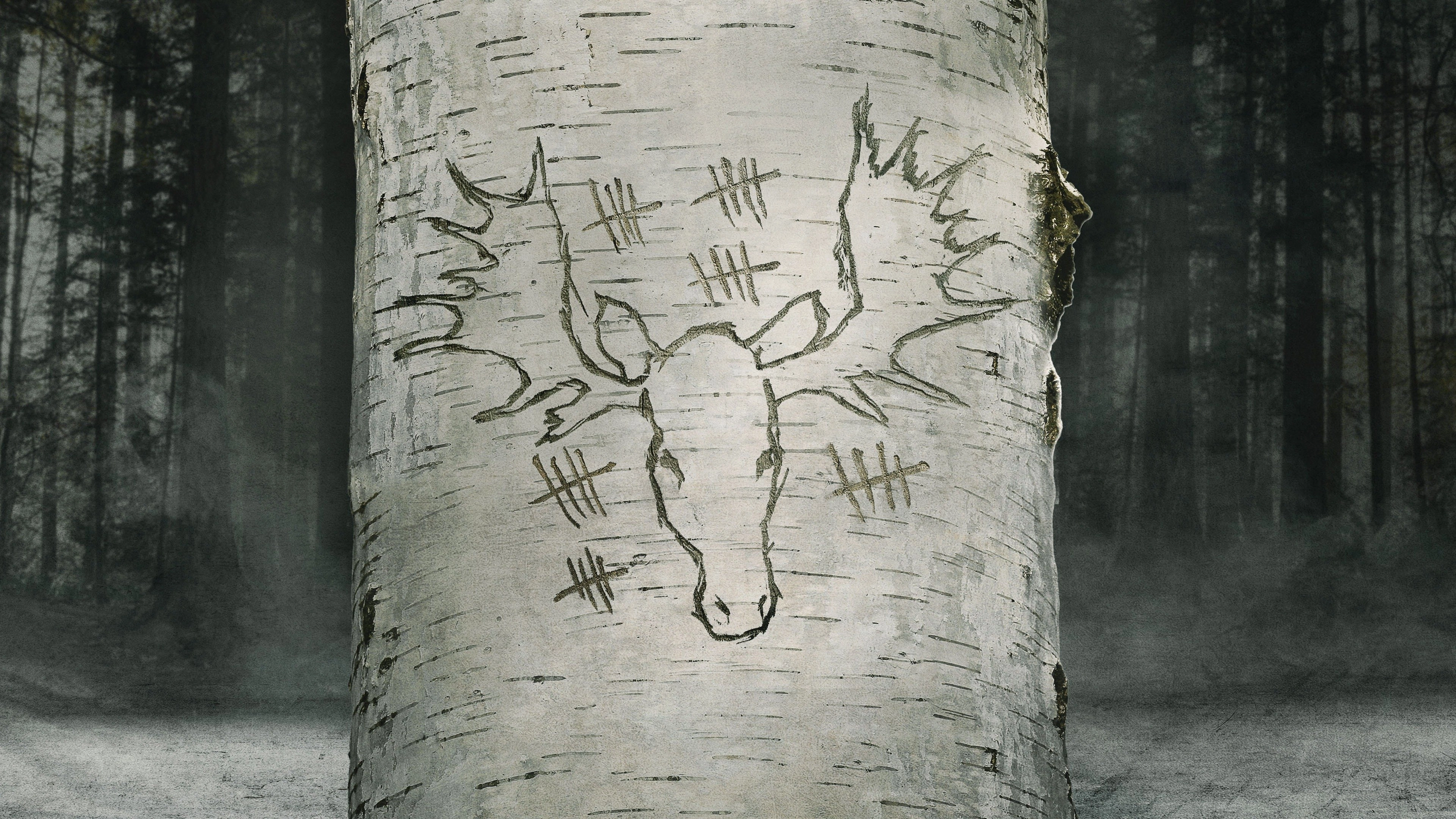 A New Life