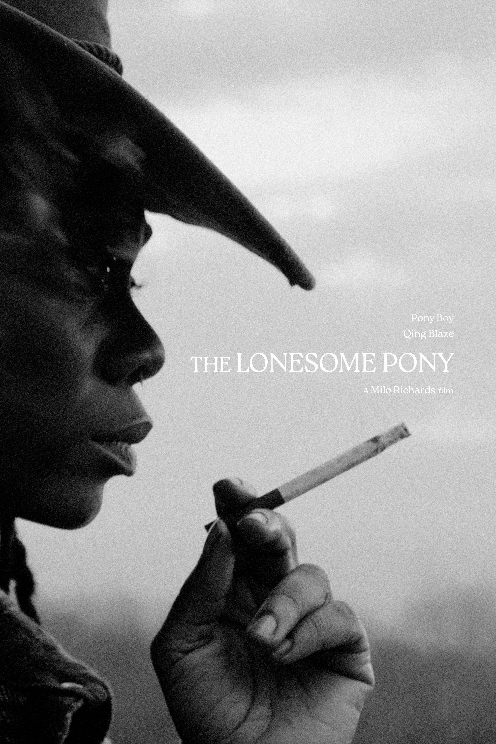 The Lonesome Pony