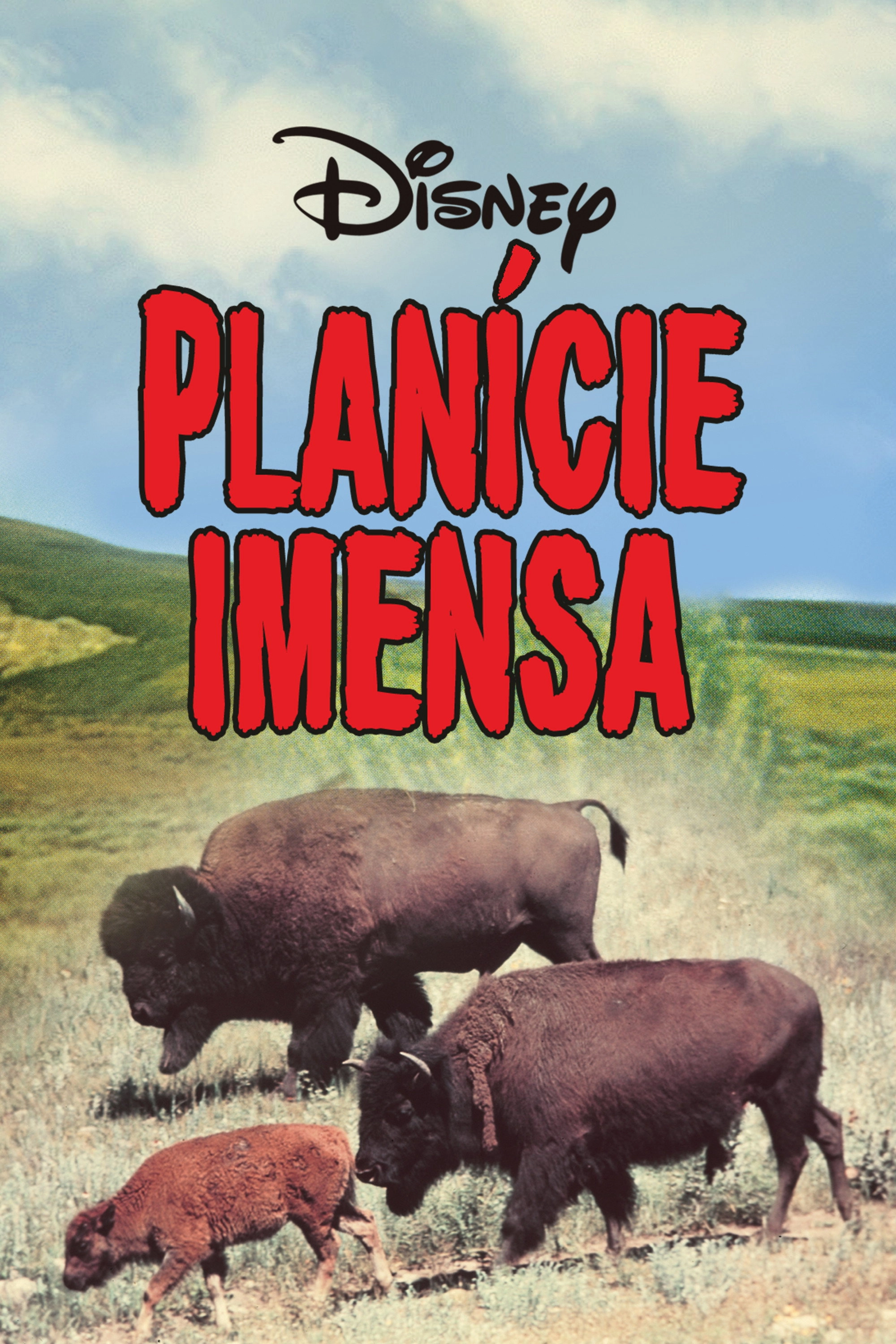The Vanishing Prairie