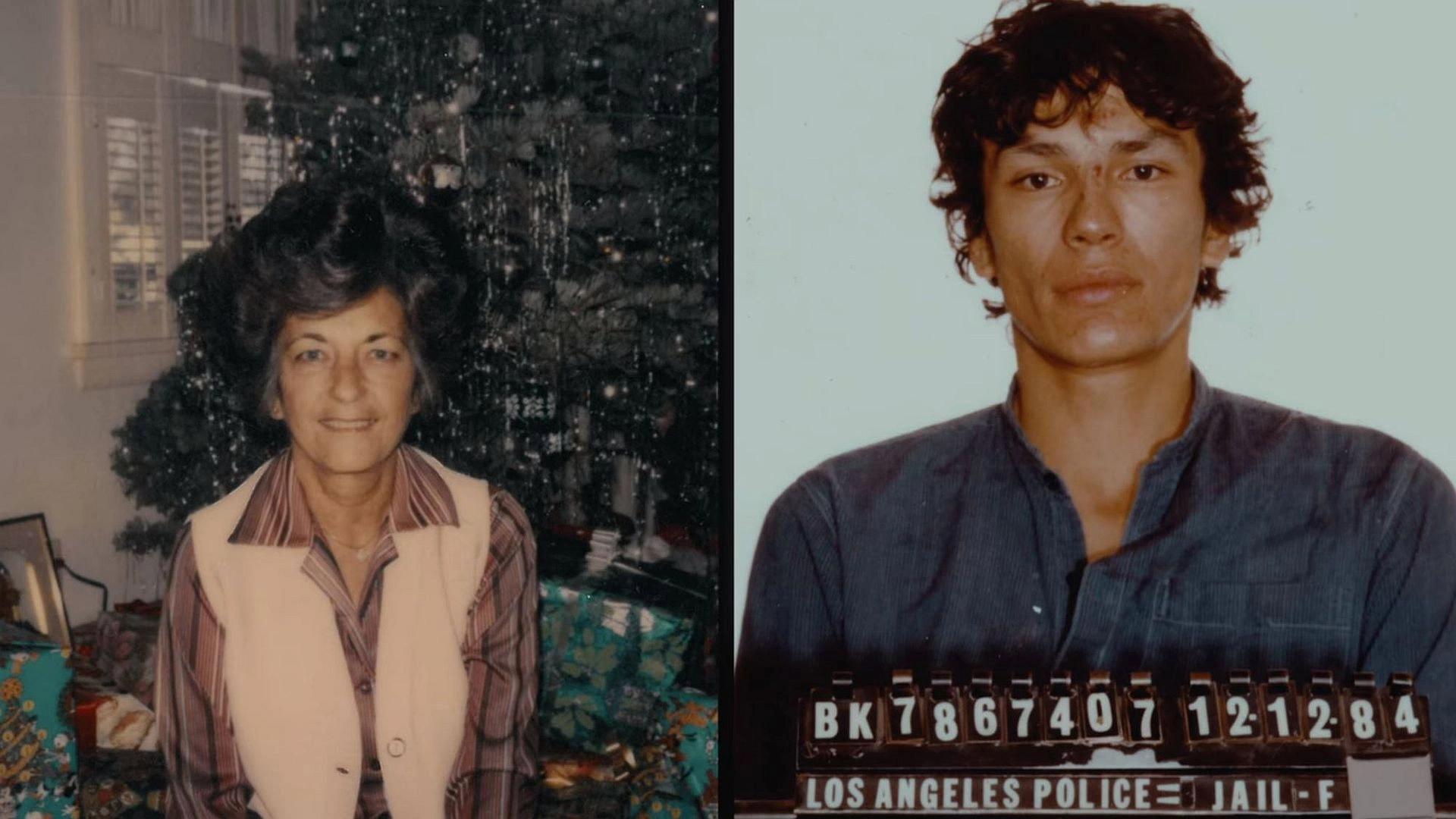 Night Stalker: The Hunt for a Serial Killer