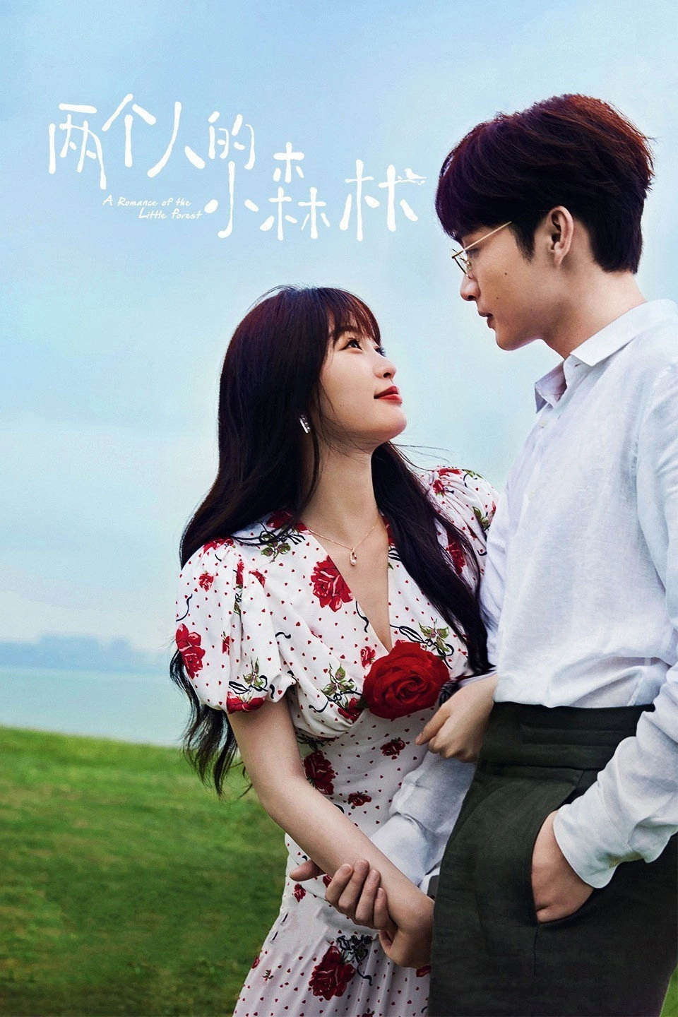 A Romance of the Little Forest