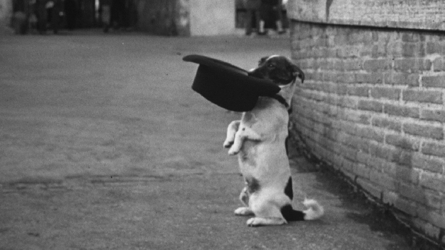Umberto D.