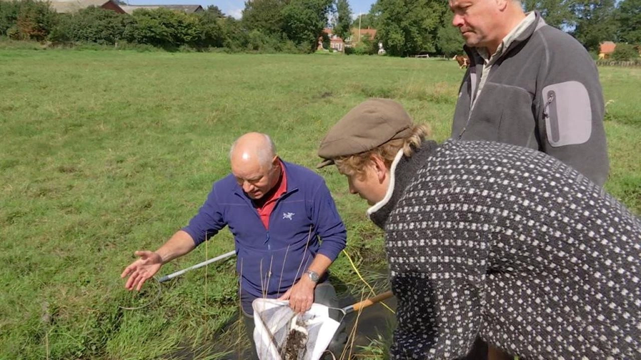 Frank & Kastaniegaarden