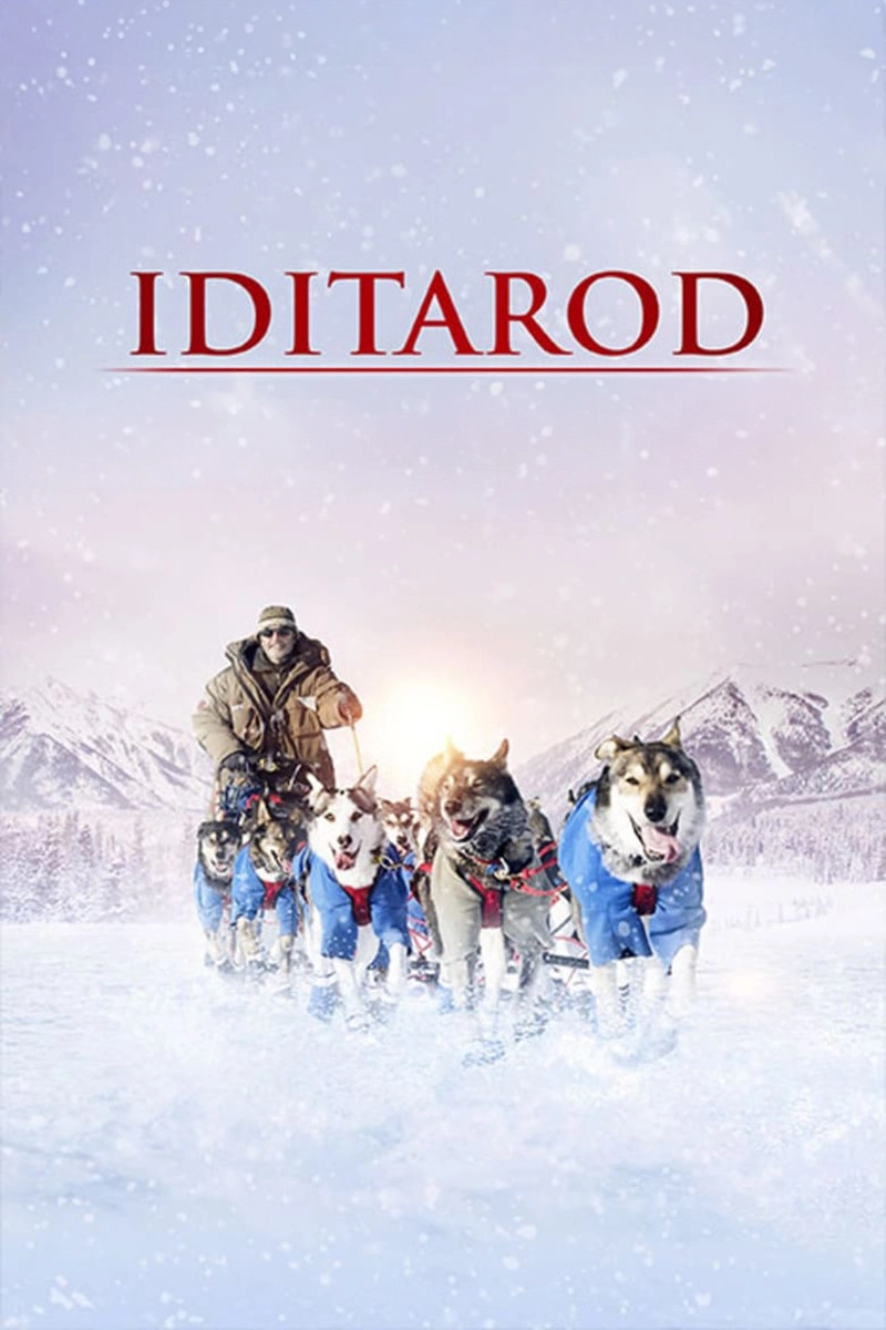 Iditarod, la dernière course de Nicolas Vanier