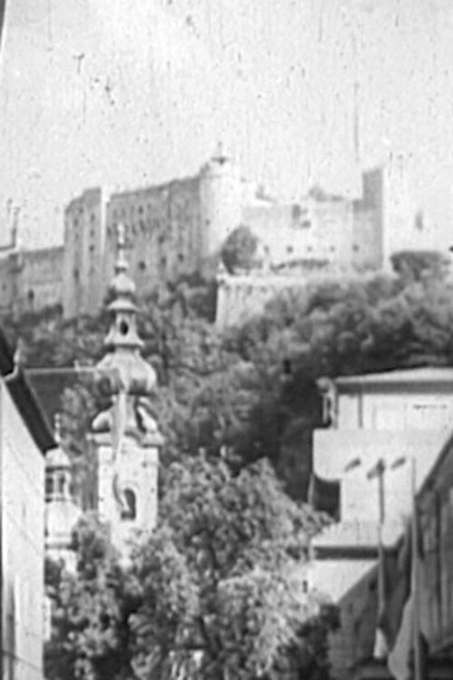 Der Fahnder