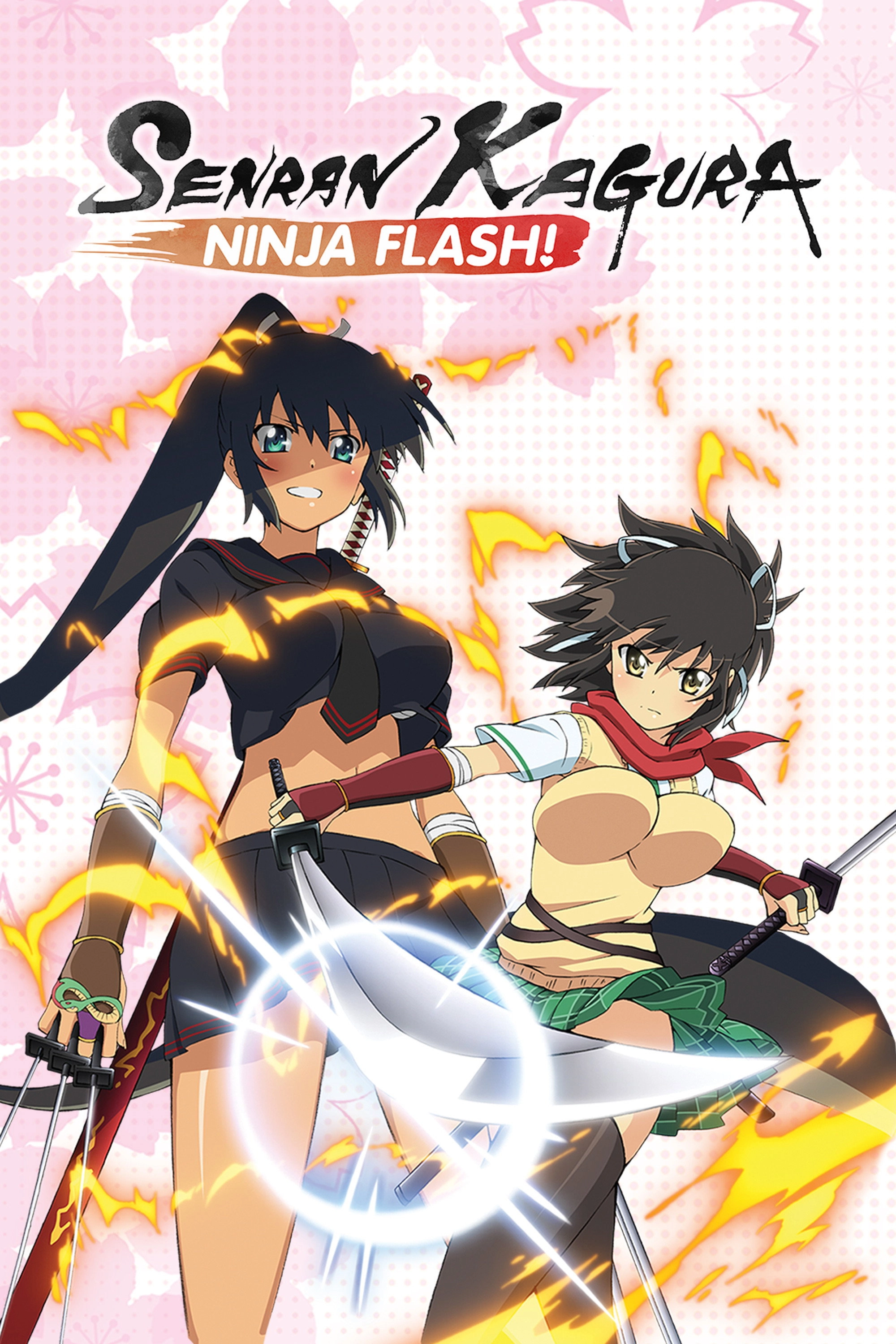 Senran Kagura: Ninja Flash