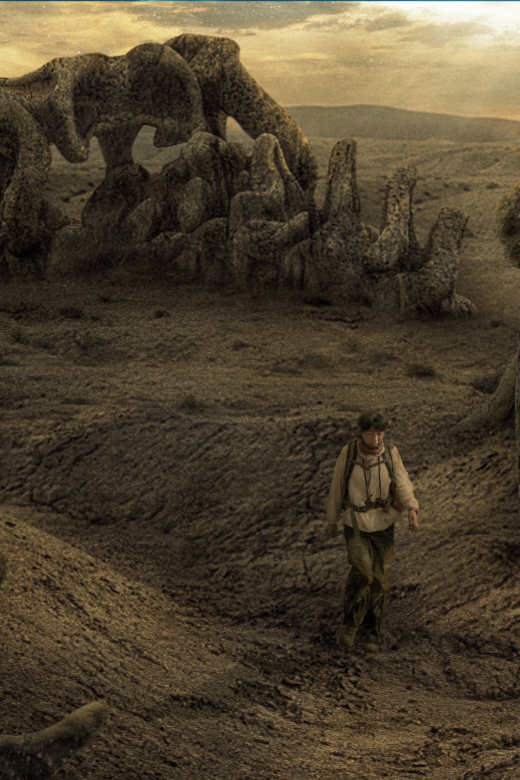 Where Nothing Grows