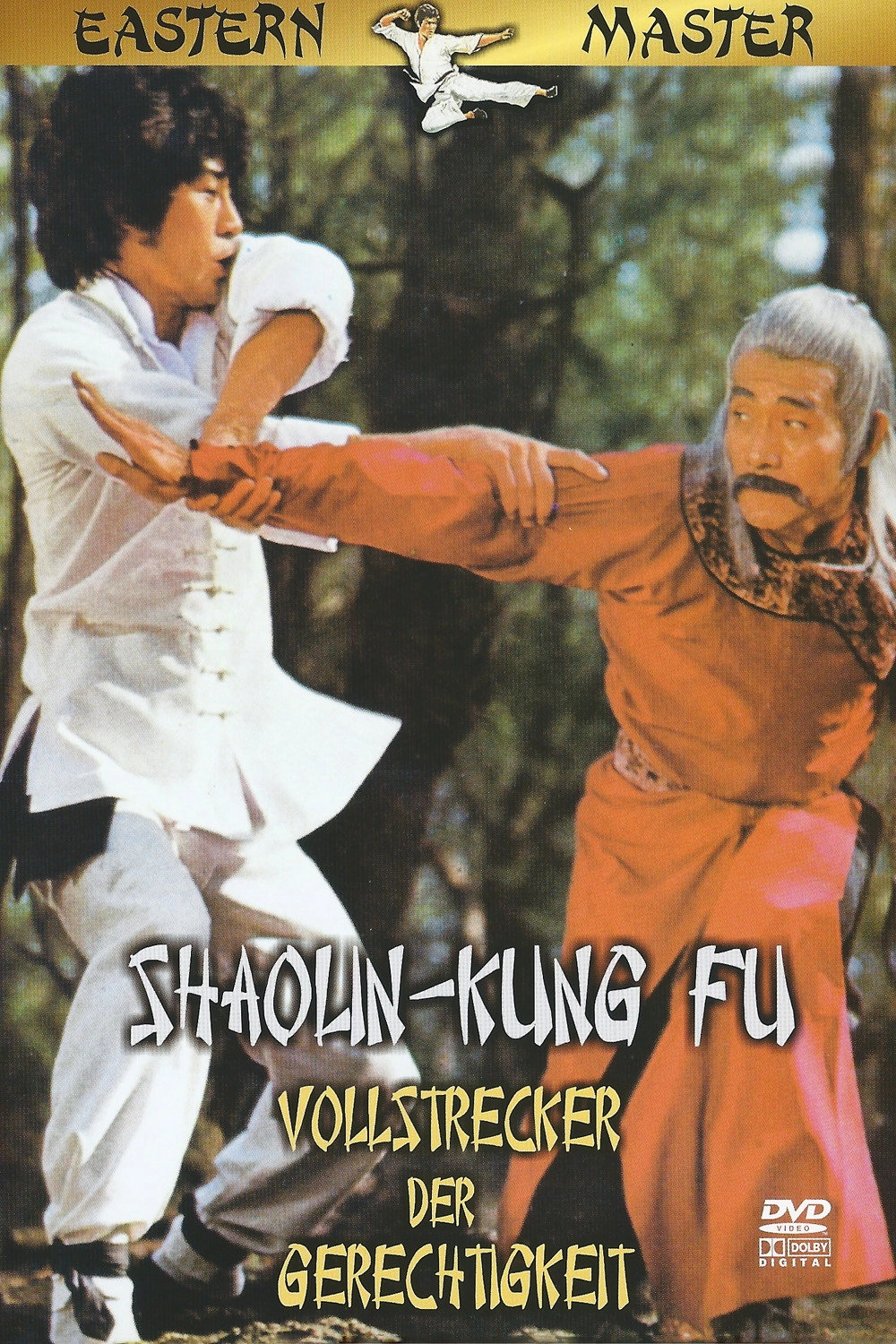 Shaolin Kung Fu Master