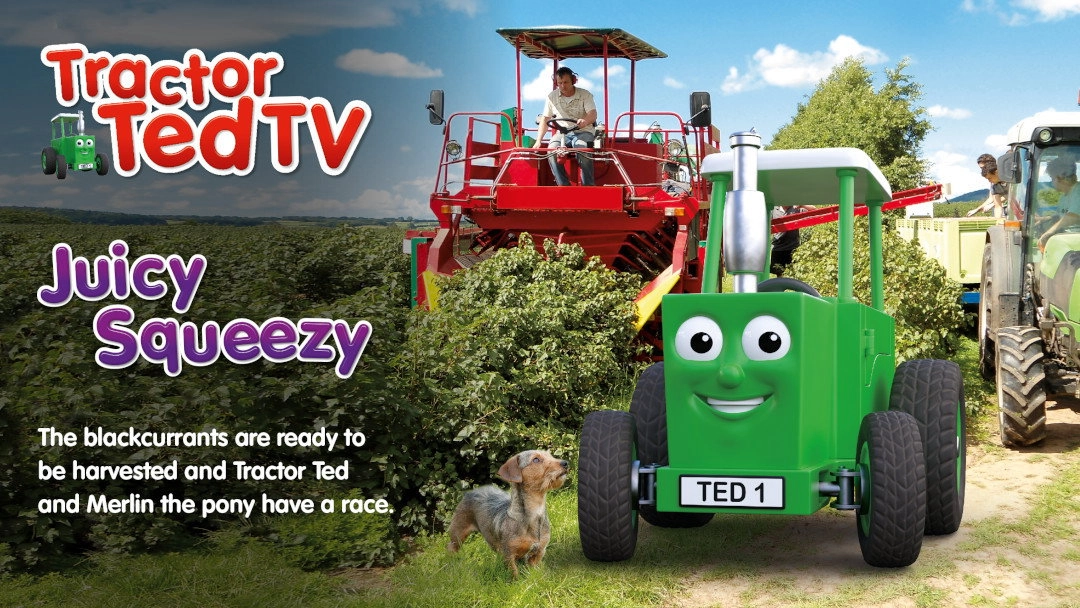 Tractor Ted
