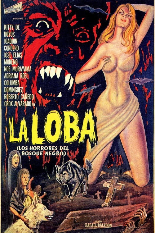 Ślicznotka