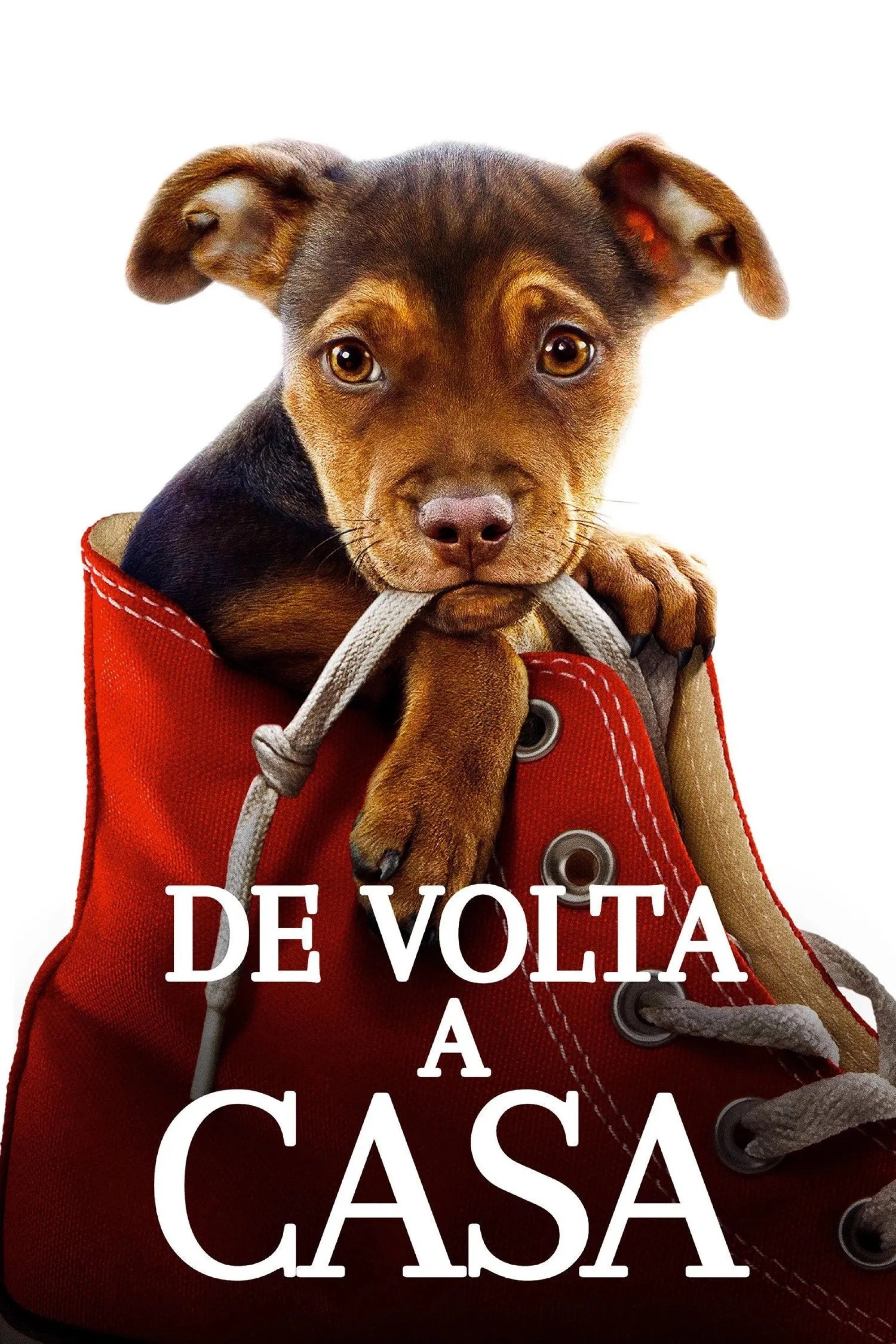 A Dog's Way Home