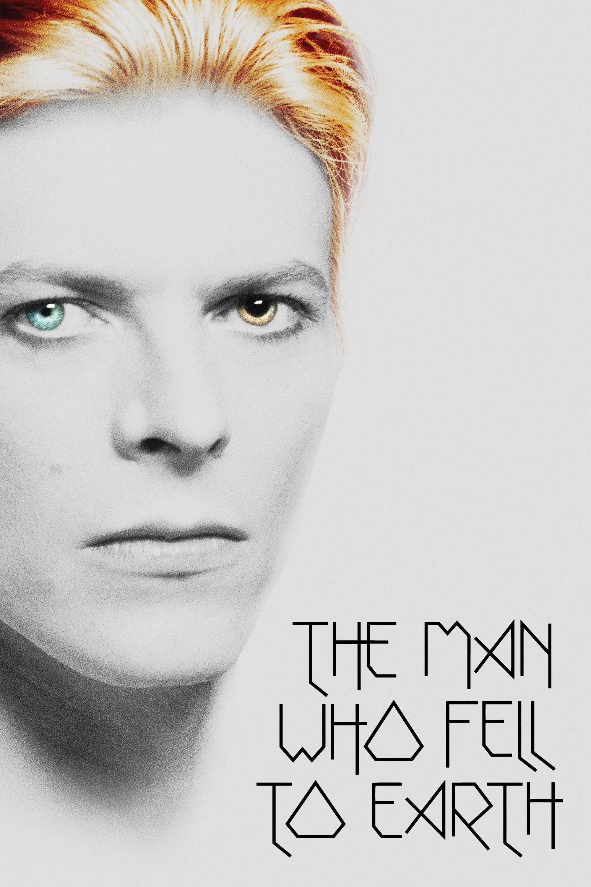 The Man Who Fell to Earth