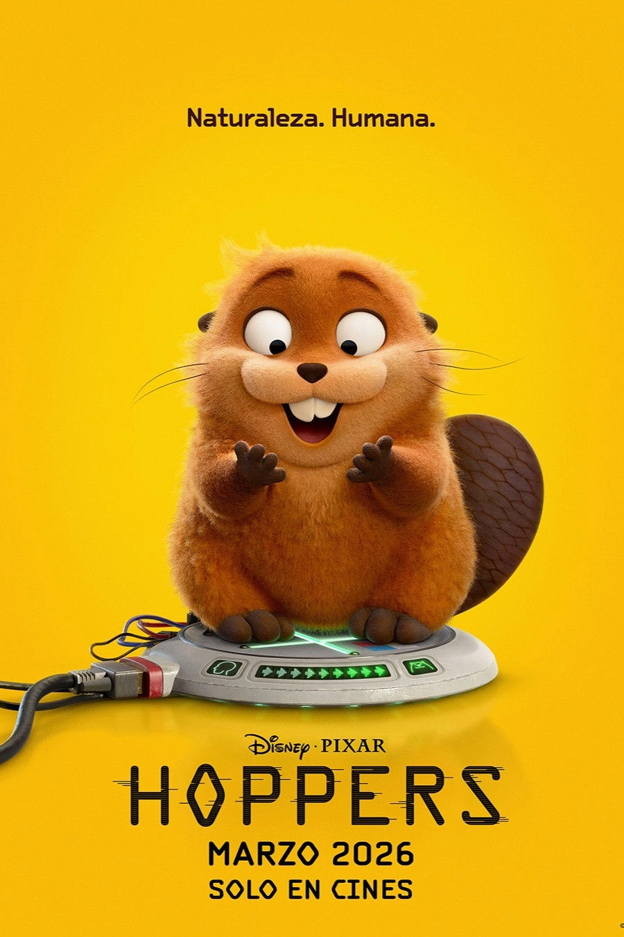 Hoppers