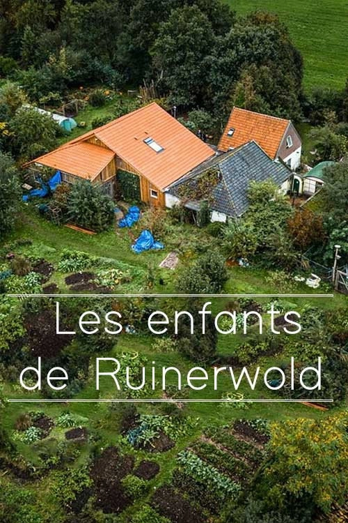 The Children of Ruinerwold