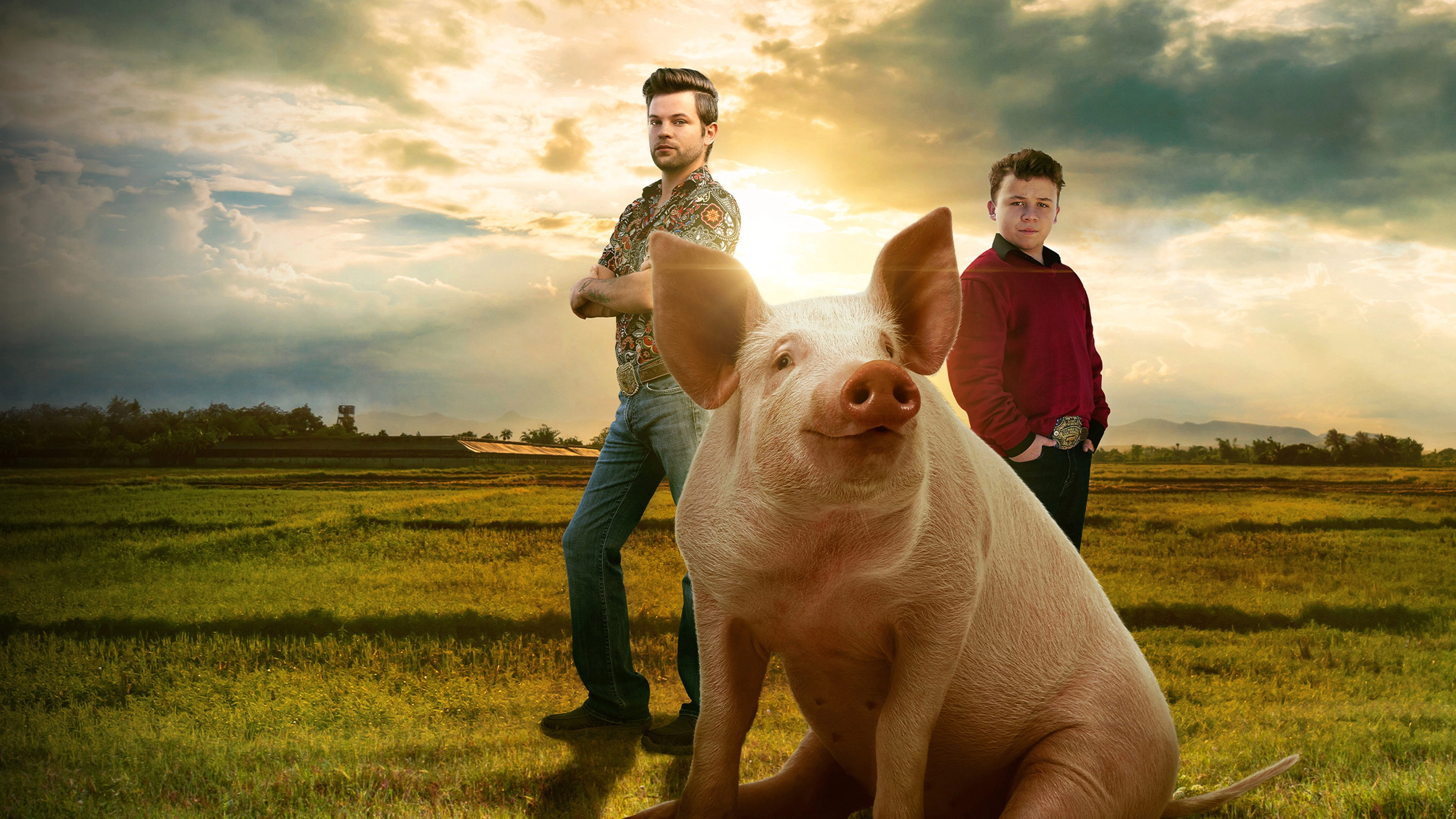 Pig Royalty