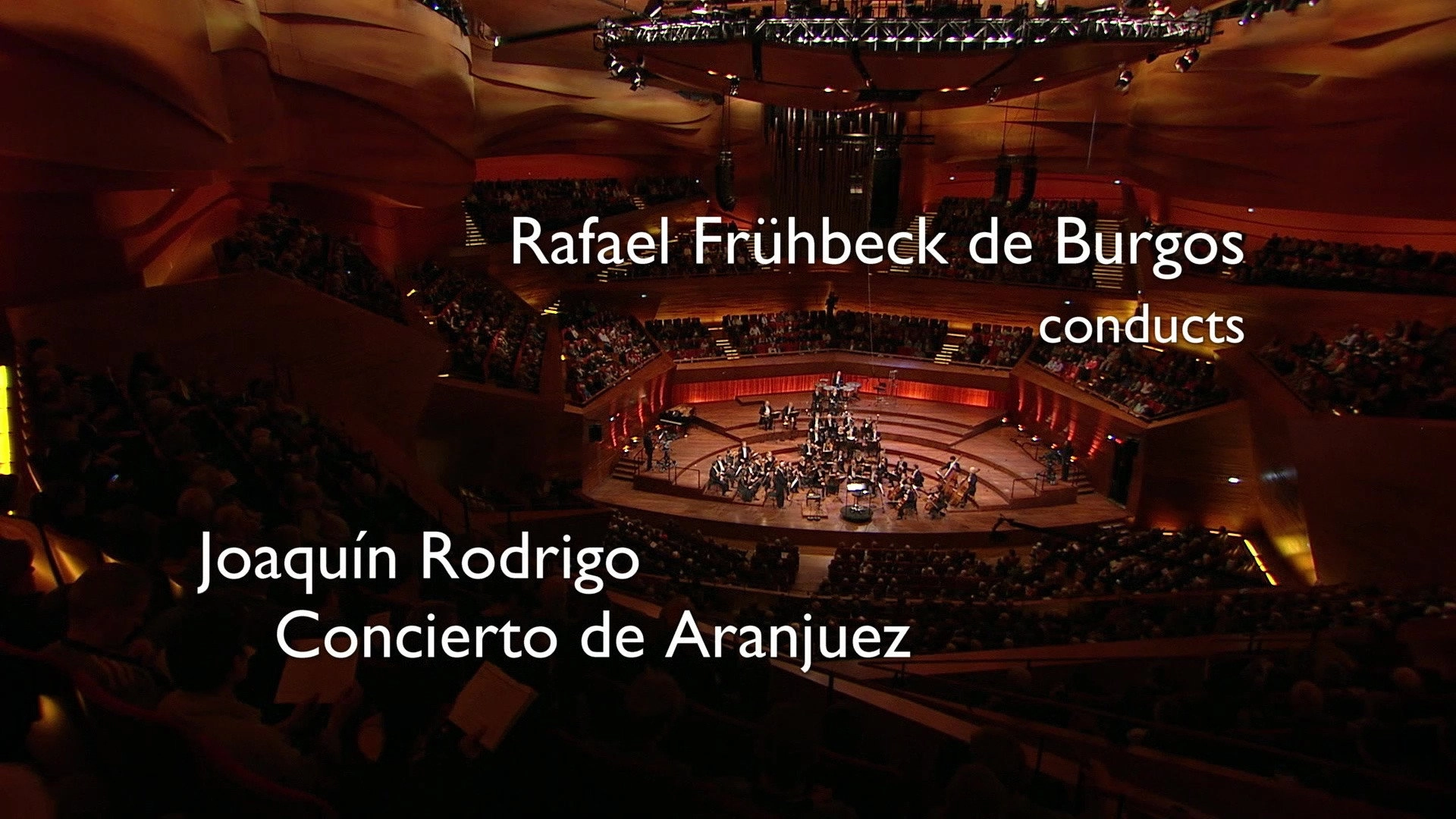Beethoven: The Symphonies (Rafael Frühbeck de Burgos Conducts the Danish National Symphony Orchestra)