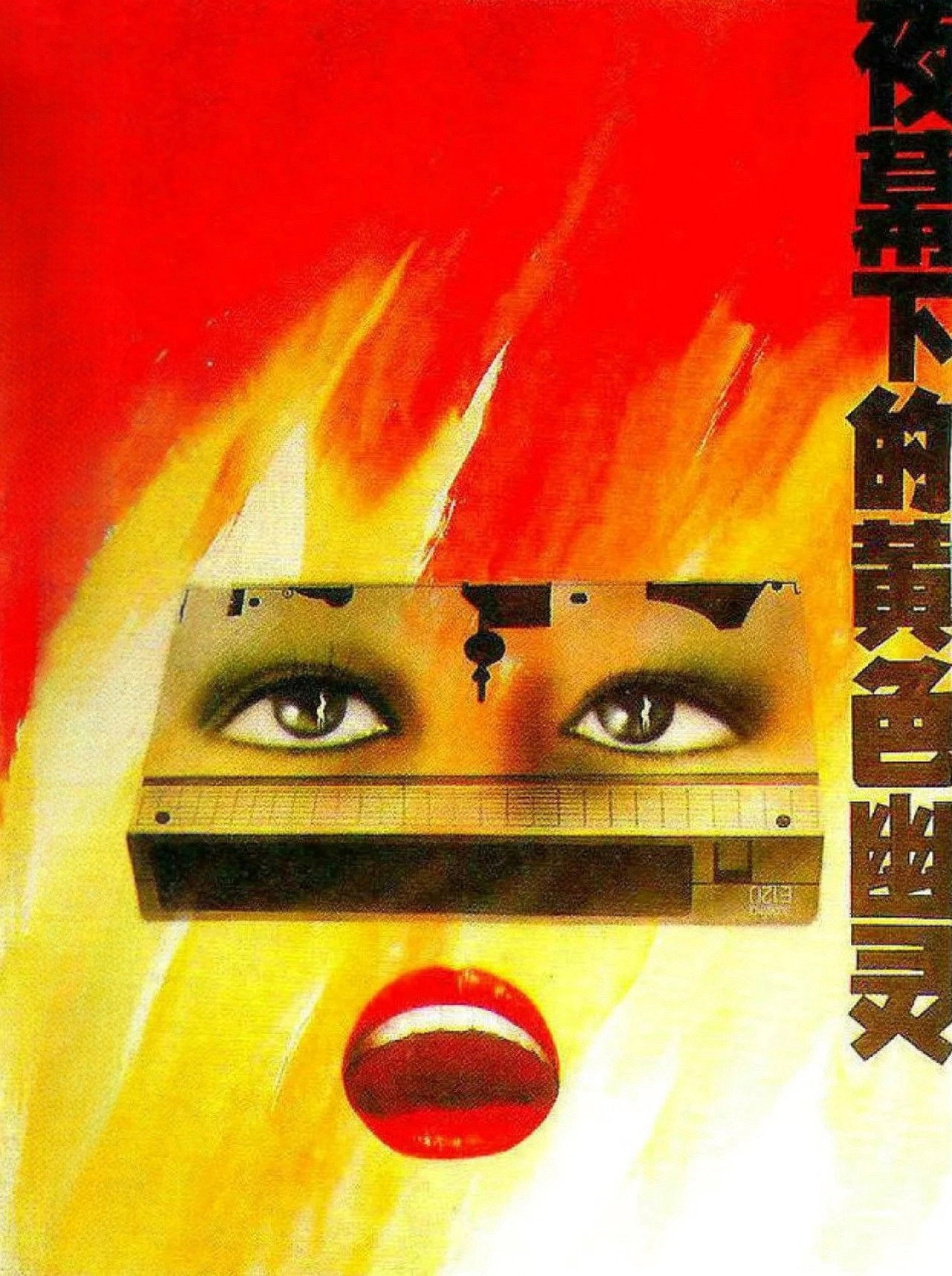 穿到八零，再嫁的她巨能赚