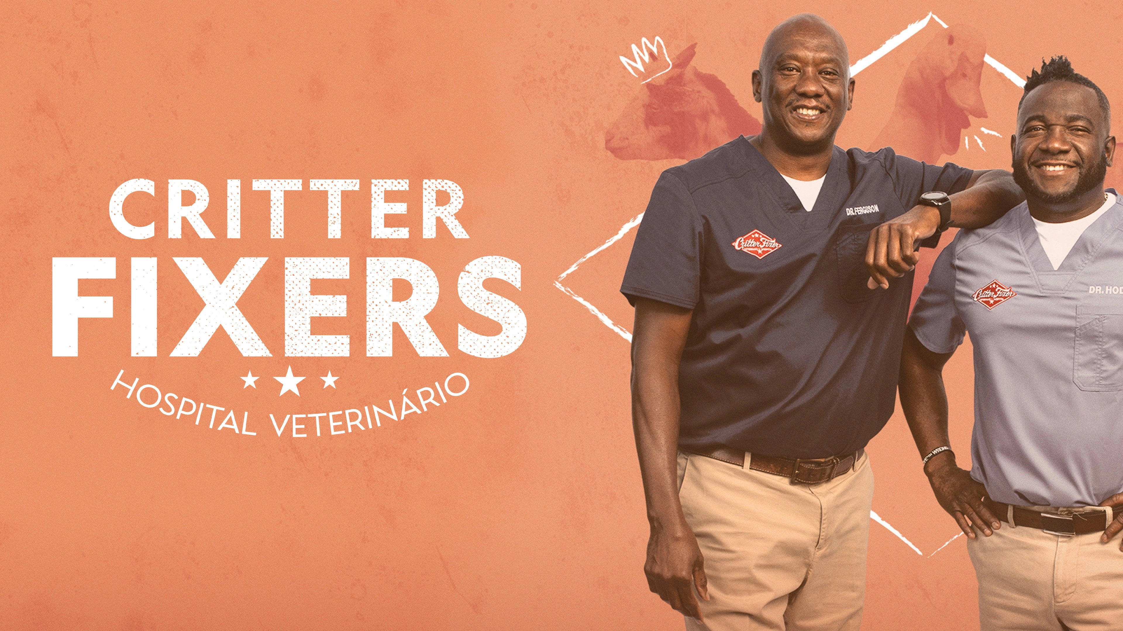 Critter Fixers: Country Vets