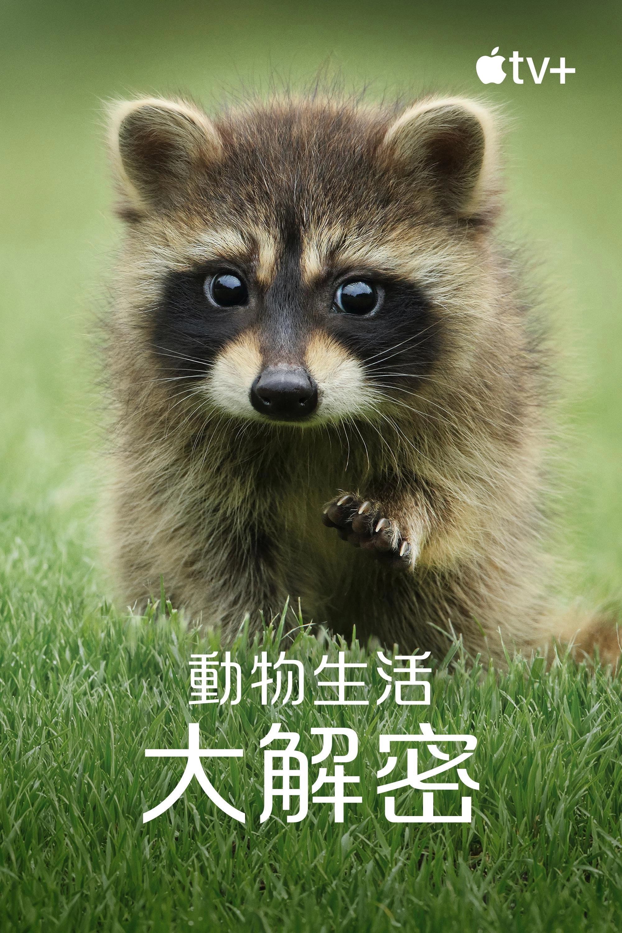 The Secret Lives of Animals