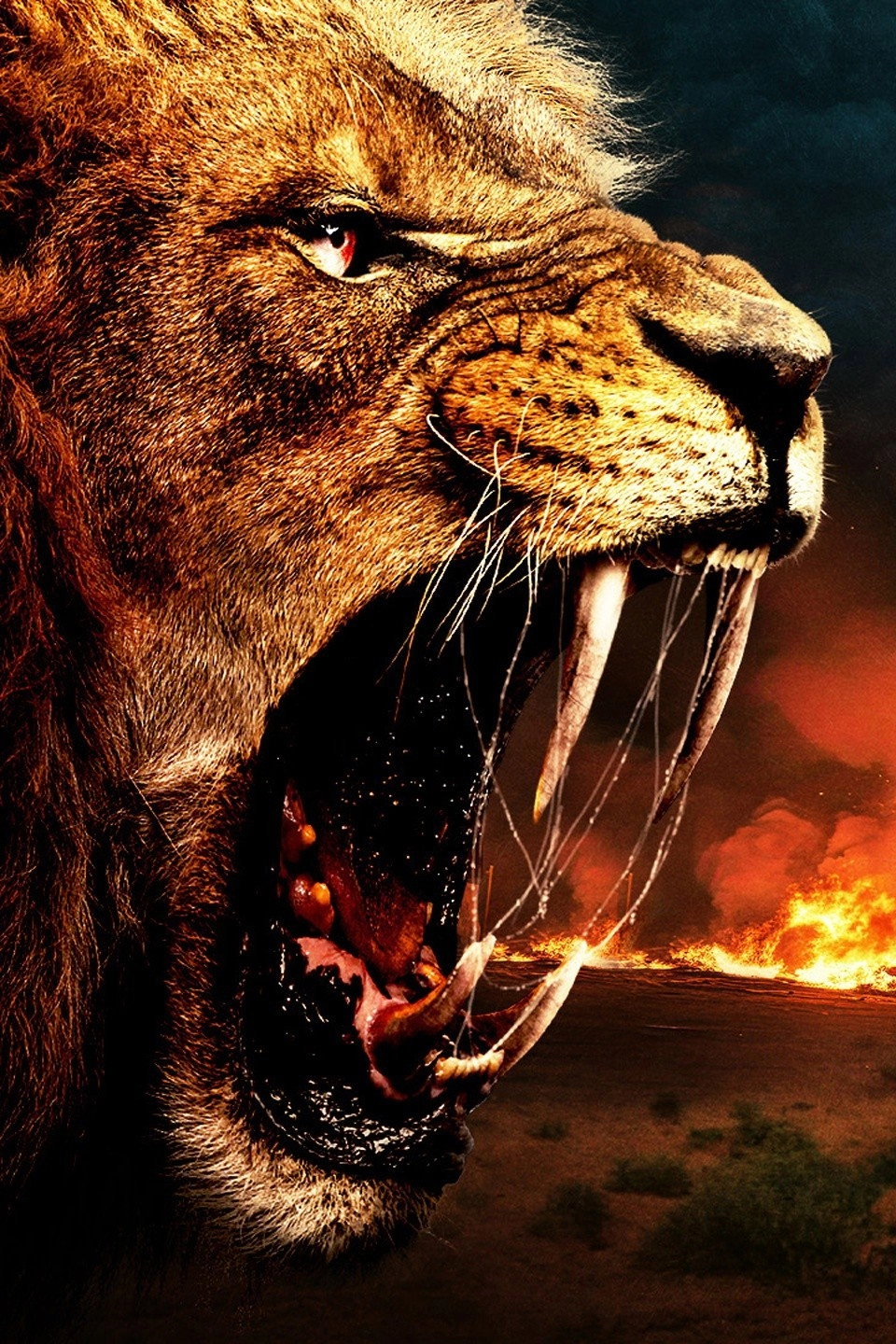 Prey